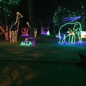 Meet your Posher, Mitch